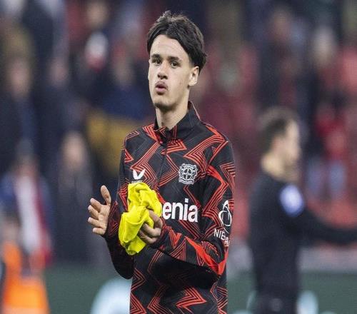 哈尔滨亚冬,会筹备冲刺,阶段到来,Bet365手机版,手机平台,体育博彩,移动应用,在线投注,体育赛事